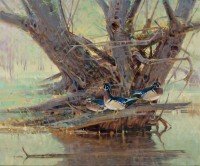 The Nest Tree / Jim Morgan / 20.00x24.00 / $8900.00