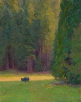 Among The Giants - Sequoias / Amy Sidrane / 40.00x32.00 / $14400.00/ Sold