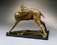 Preening Whitetail / Dan Ostermiller / 15.00x13.00 / $7200.00