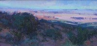 Canyonlands - Chasing Shadows / Jill Carver / 8.00x16.00 / $1550.00/ Sold