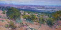 Spring Showers - Canyonlands / Jill Carver / 15.00x30.00 / $3900.00