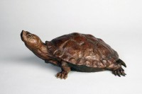 Remi's Turtle / Dan Ostermiller / 5.00x12.00 / $2400.00